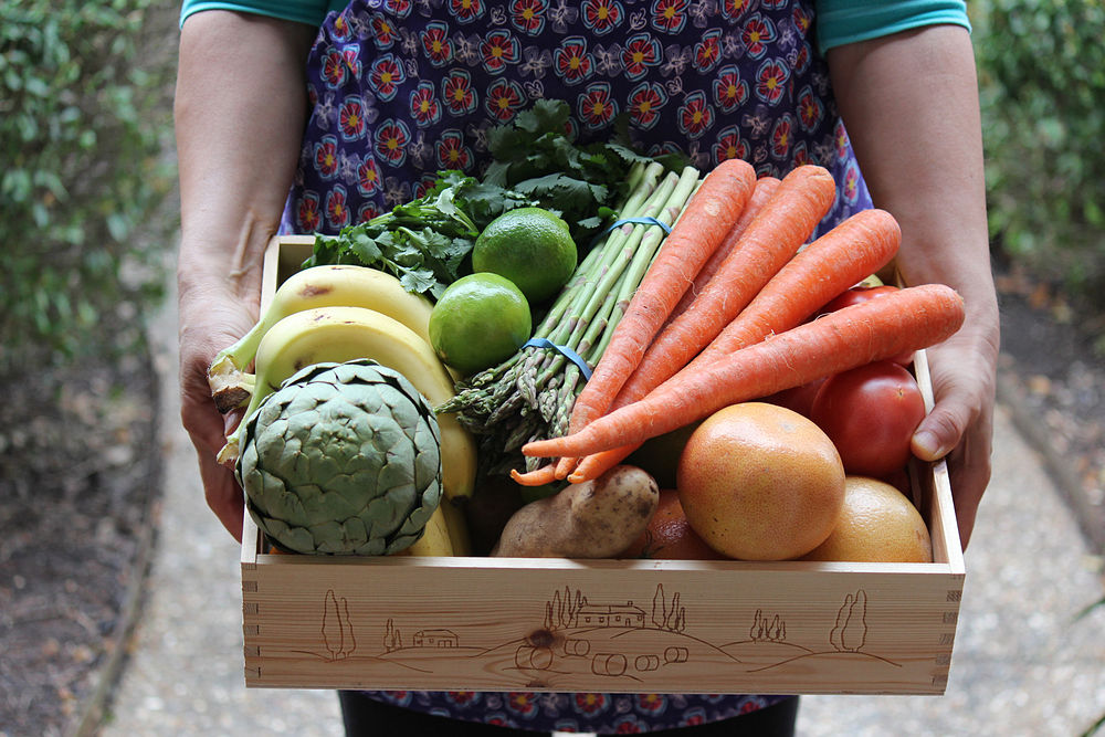 Cajon de verduras organicas